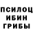 Галлюциногенные грибы мицелий Hellfiredk