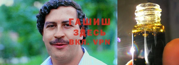 гидра Верхний Тагил