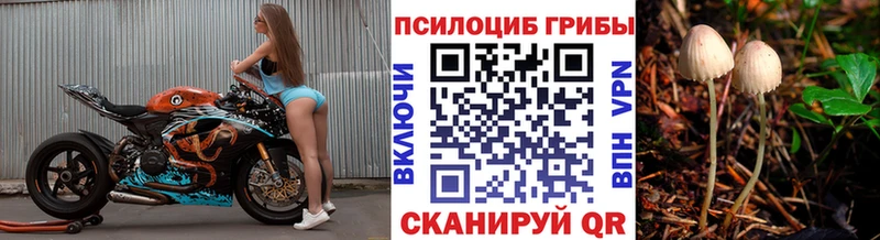 Галлюциногенные грибы GOLDEN TEACHER  хочу   Галич 